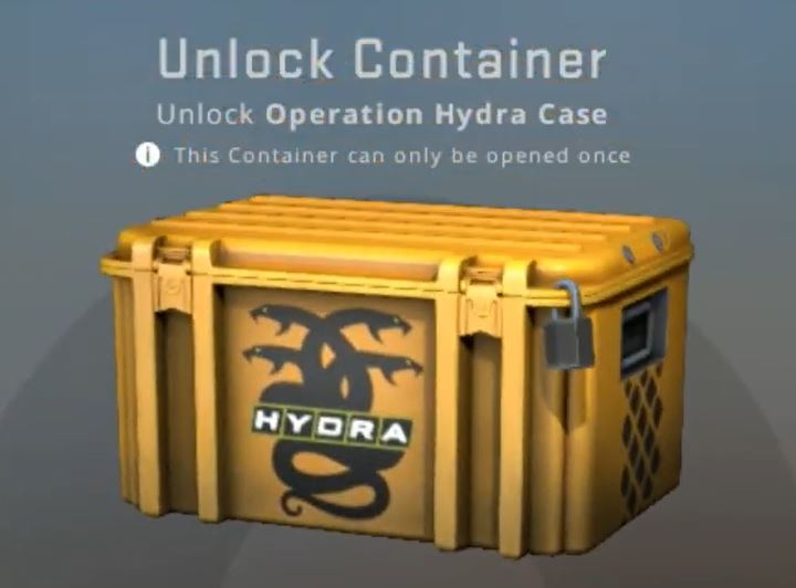 Hydra case