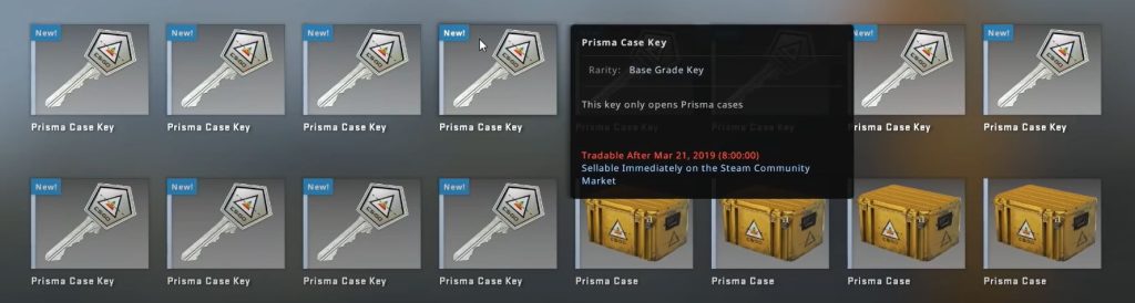 Prisma cases and keys