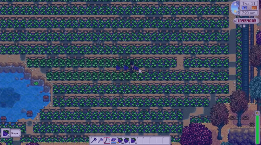 Grapes Stardew Valley