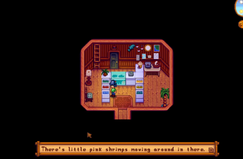 Accessing the Back Room of the Fish Shop stardew valley