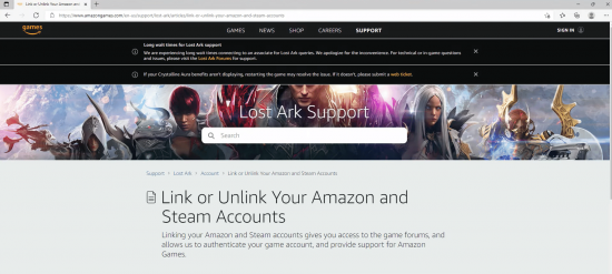 Amazon Lost Ark Support