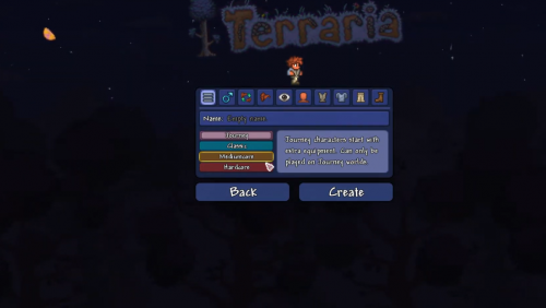 Create the Right Character Terraria Server