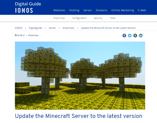 IONOS Solution Minecraft server
