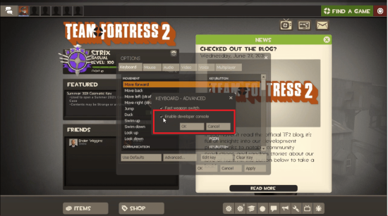 TF2 enable developer console