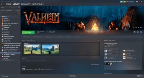 Valheim settings on Steam