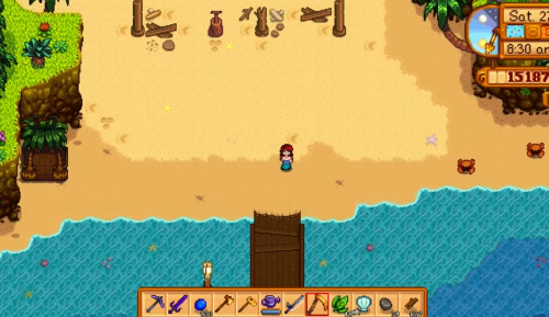 arrival at ginger island stardew valley