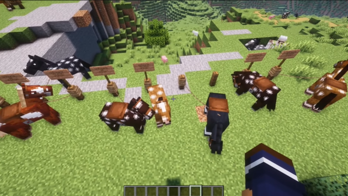 horses in Minecraft