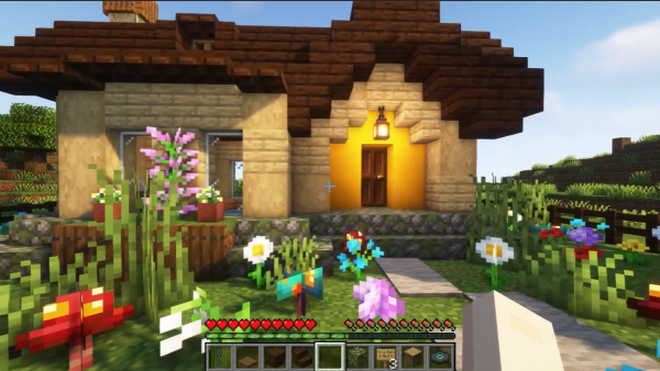 house in Minecraft