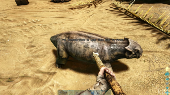 hunting for food ARK