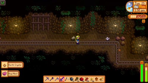 looking for earth crystal on the ground stardew valley