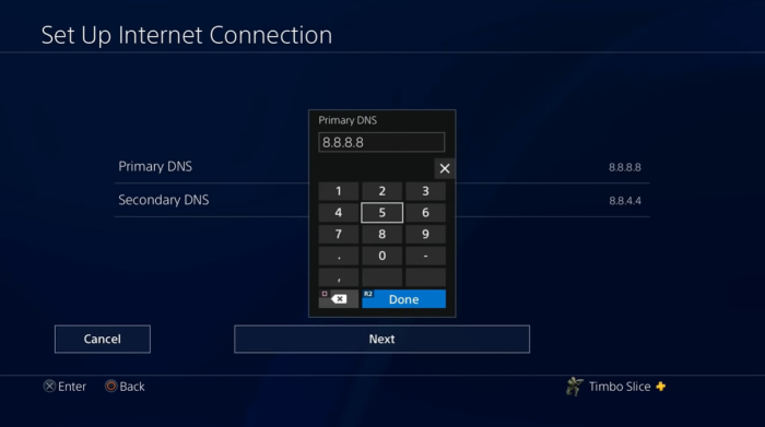 PS4 set DNS
