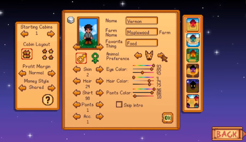setting up character in multiplayer option stardew valley