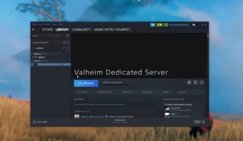 updating valheim server