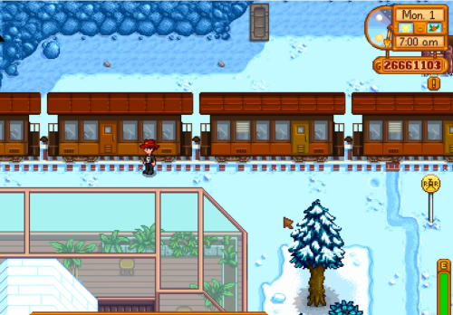winter train stardew valley